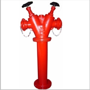 TRỤ CHỮA CHÁY DN100 – 2DN65